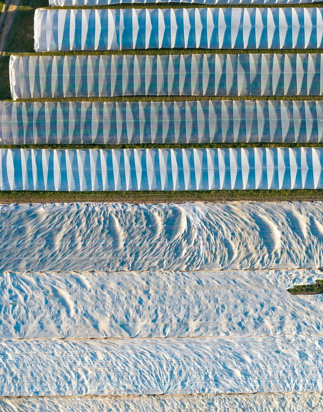 Rows of agricultural film tunnels